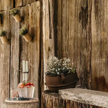 Siedlisko Discovery Mazury * Mrągowo