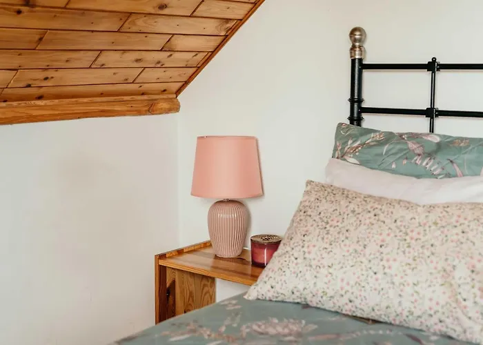 Siedlisko Discovery Mazury Farm stay Mragowo