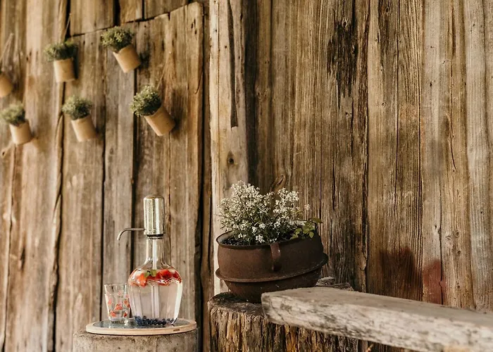 Siedlisko Discovery Mazury * Mragowo